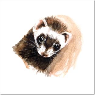 Ferret portrait Posters and Art